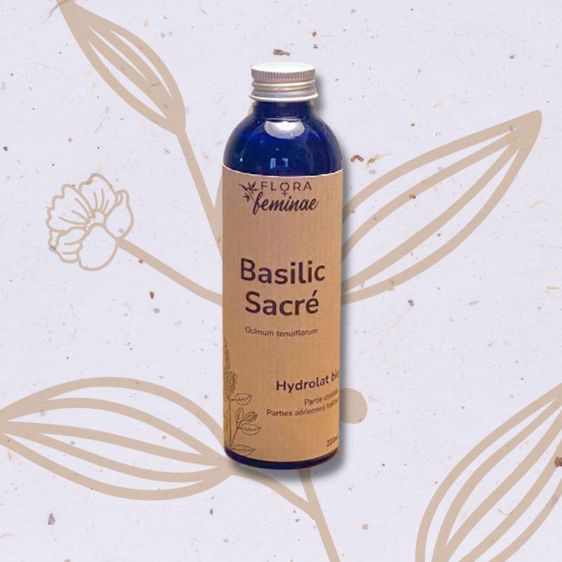 Basilic sacré (Tulsi) en Hydrolat