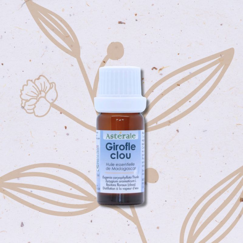 Huile essentielle de Clou de Girofle