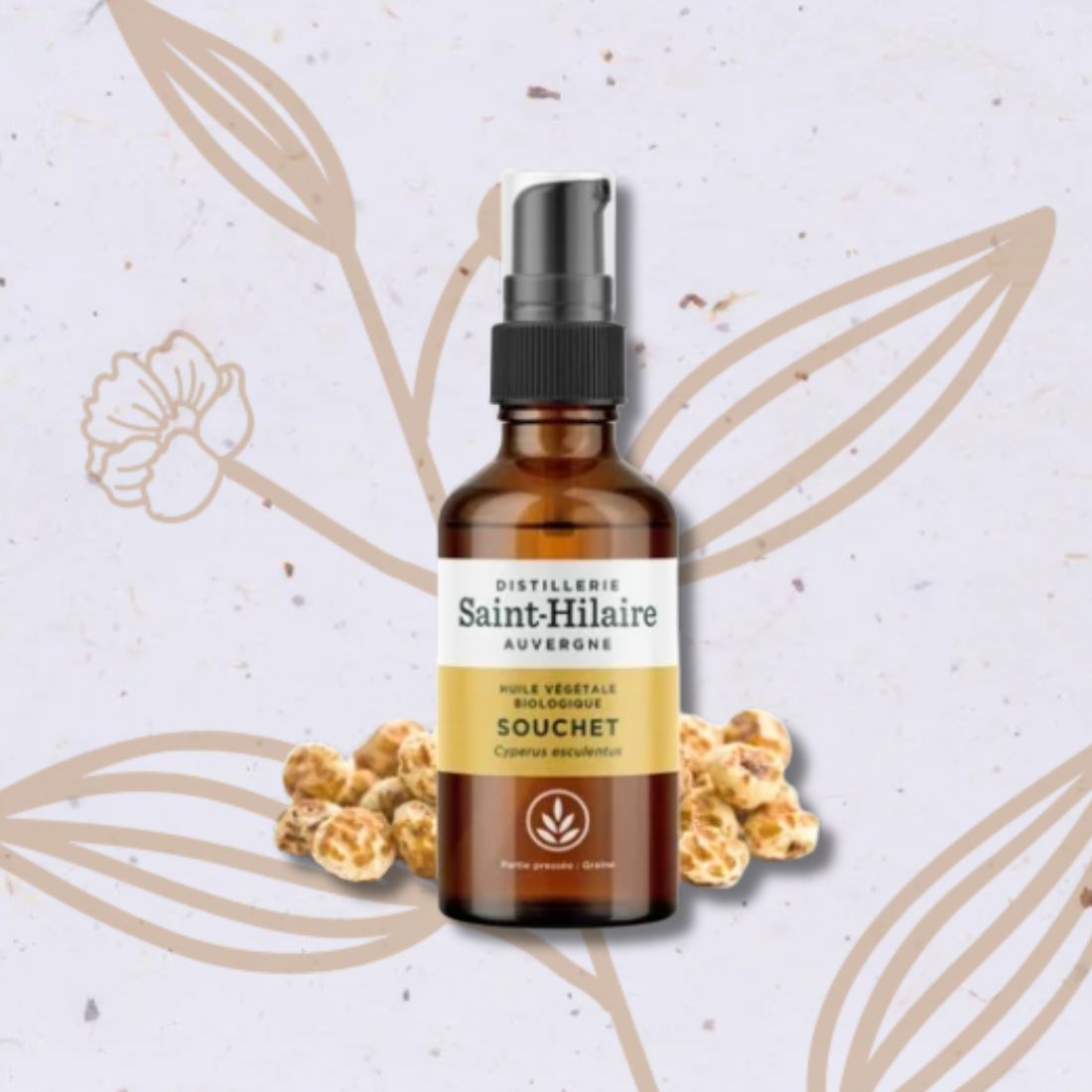 Huile de Souchet bio (Saint Hilaire)